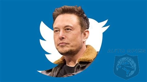 Twitter's Too Woke To Work Employees Are Fleeing Fearing Musk's Balanced Platform